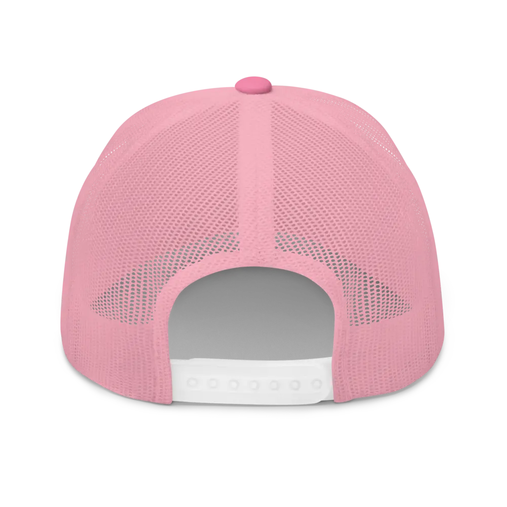 bitcoin fix the world hat back view pink