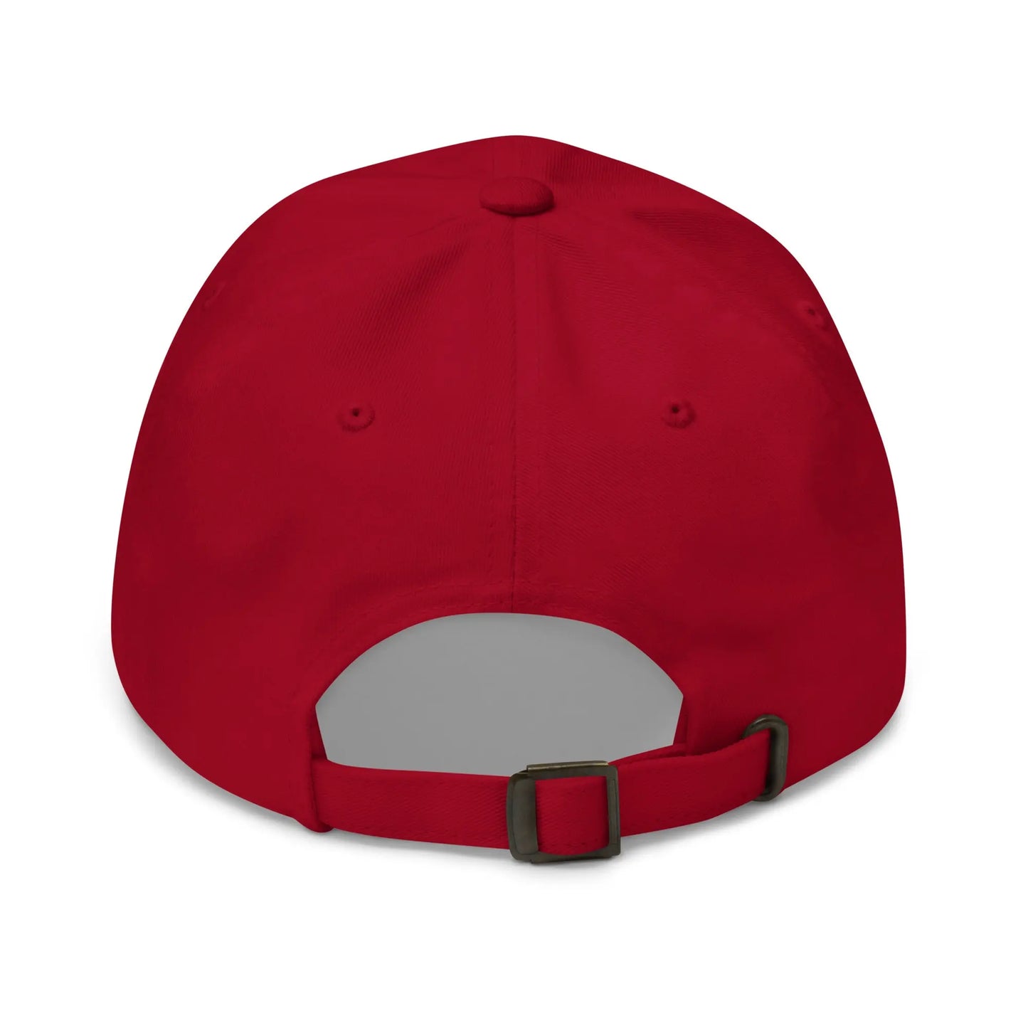 bitcoin hat - adjustable strap back view - red