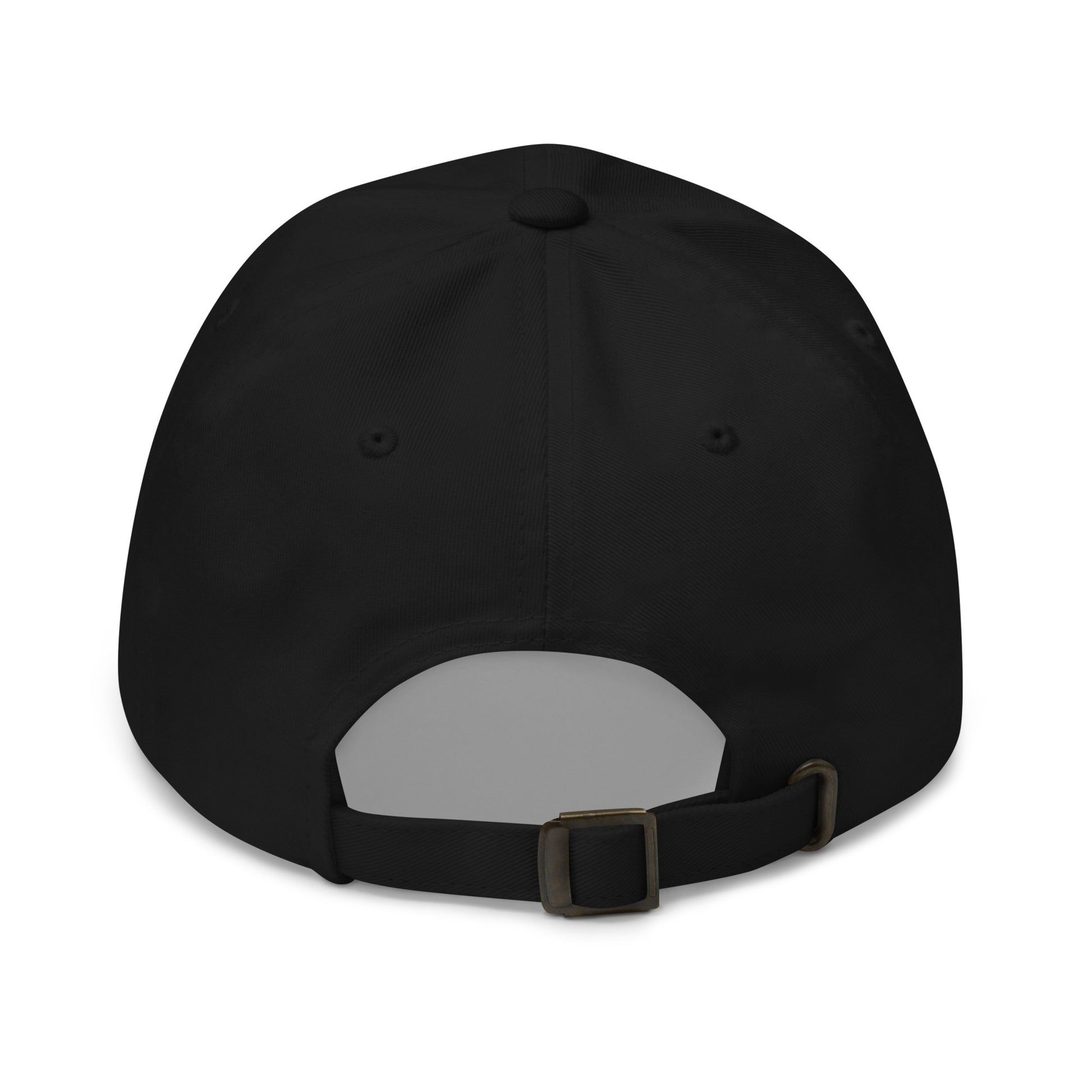 bitcoin hat - bitcoin only - back view - black