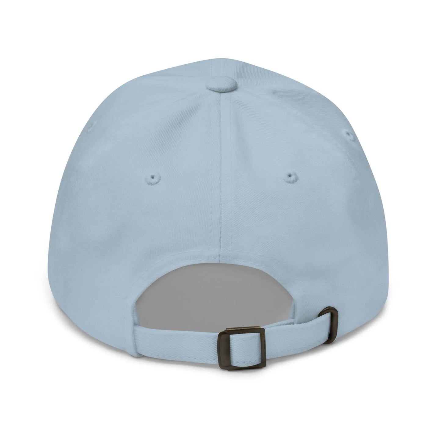 bitcoin hat - dutch bitcoin flag - back view - light blue