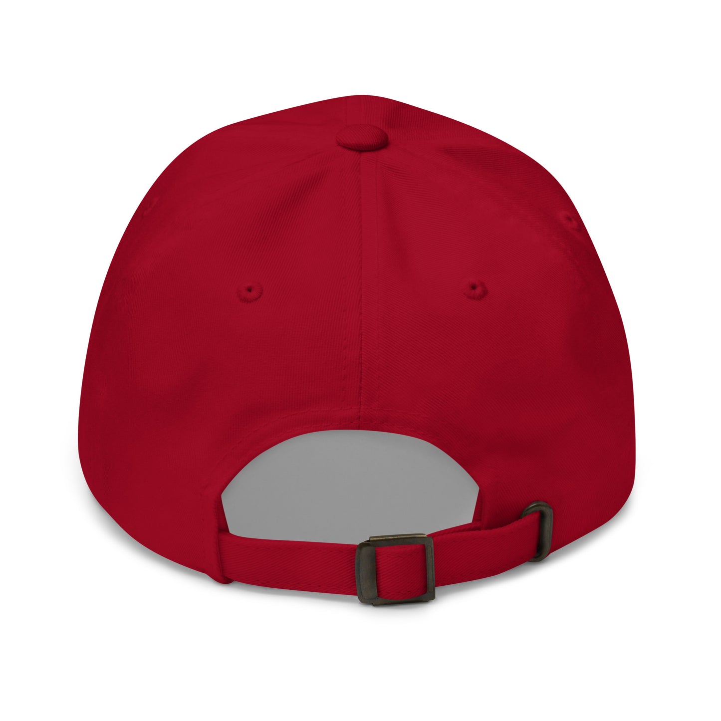 bitcoin hat - noderunner - back view - cranberry