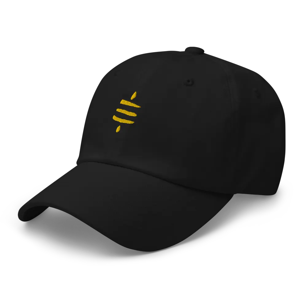 bitcoin hat - sats - embroidery close-up gold - black