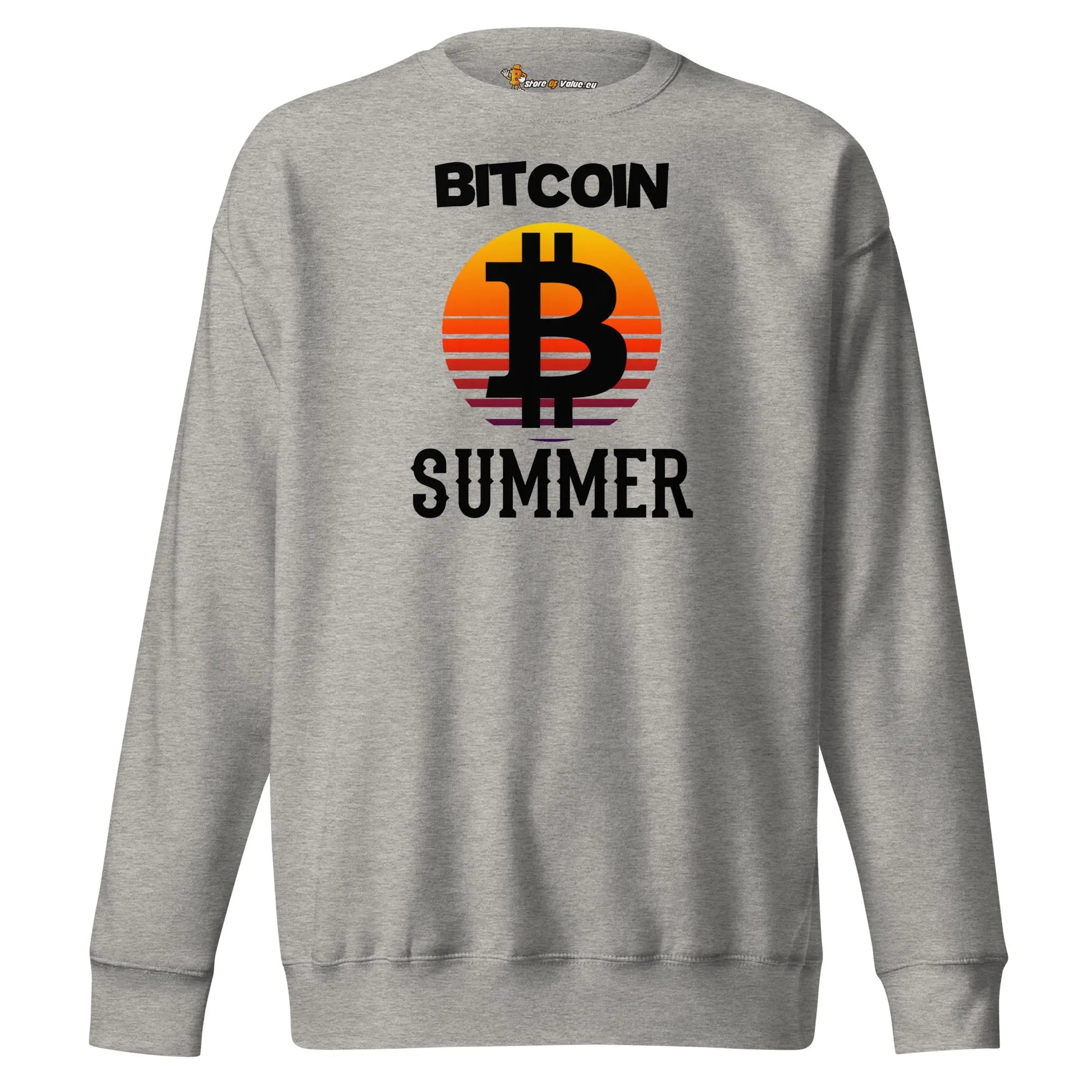 bitcoin sweatshirt - bitcoin summer - front view - grey