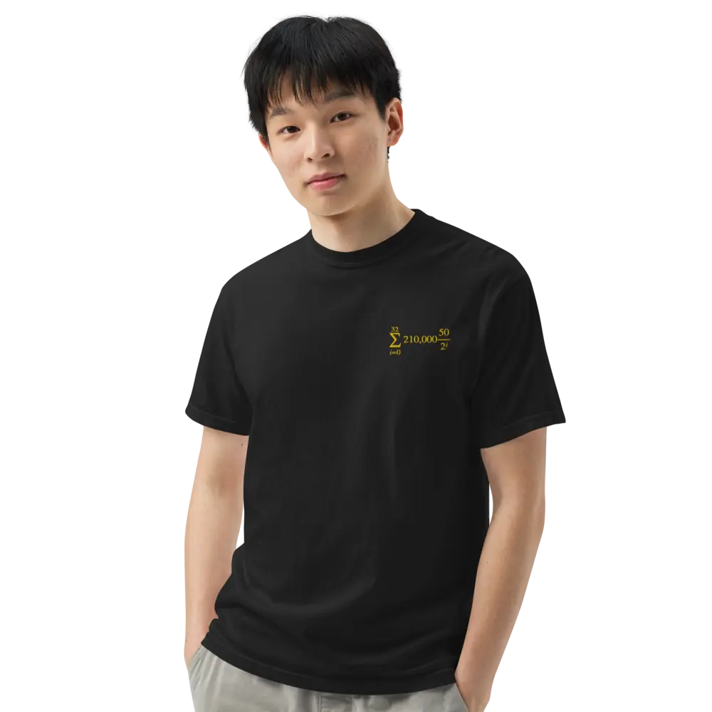 Bitcoin T-Shirt – Halving Cycle Formula | Store of Value — worn on model - black