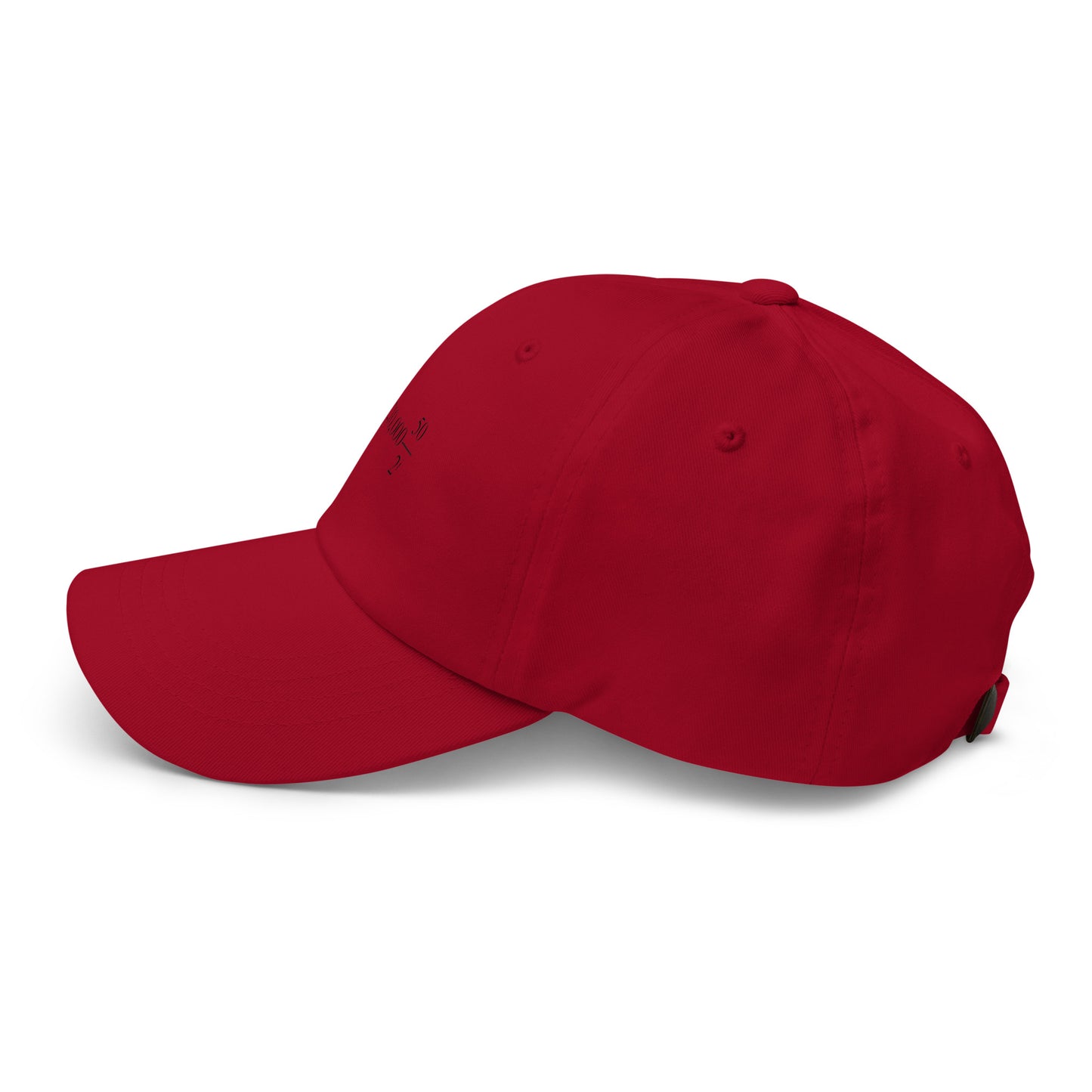 bitcoin hat - halving formula - side view - red