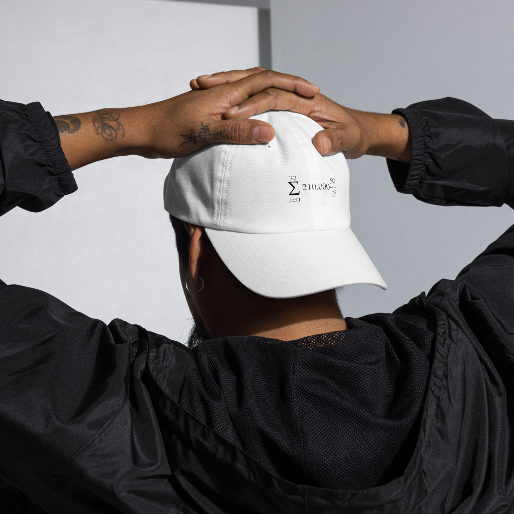 bitcoin hat - halving formula - worn by male - back view - white