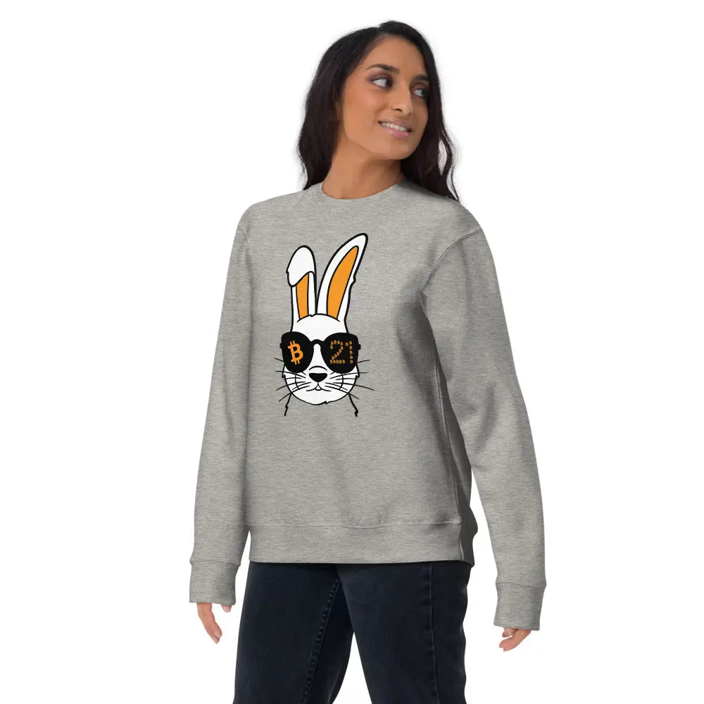 bitcoin sweatshirt - rabbit 21 - worn by female - grey color