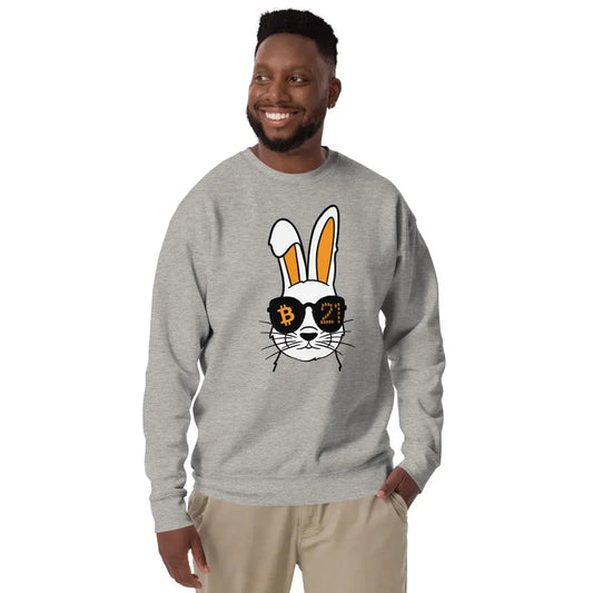 bitcoin sweatshirt - rabbit 21 - worn by male - grey color