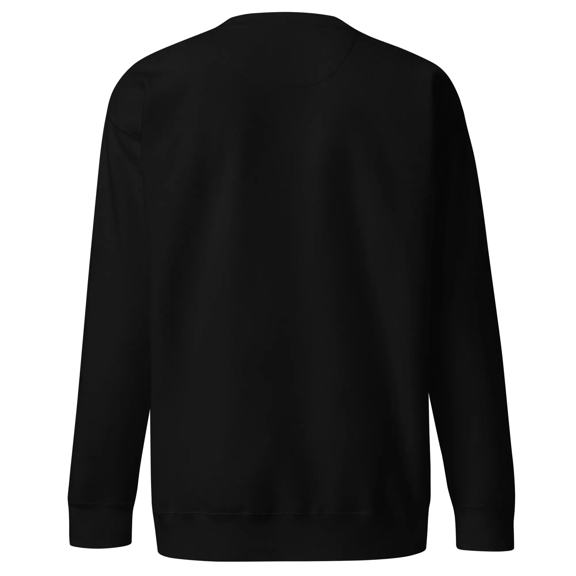 bitcoin sweatshirt - satoshi for president - back view - black